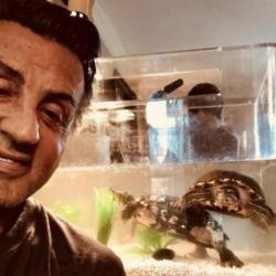 Sylvester Stallone and his Rocky turtles (c) Instagram 