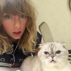 Taylor Swift’s cat is said to be richer than her boyfriend
