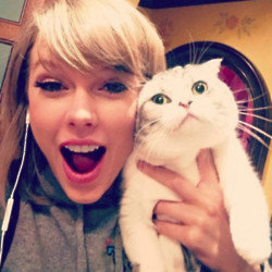 Taylor Swift's cats suffer from a serious condition (c) Instagram
