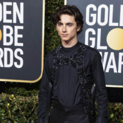 Timothée Chalamet was inspired by a superhero movie to start his acting career