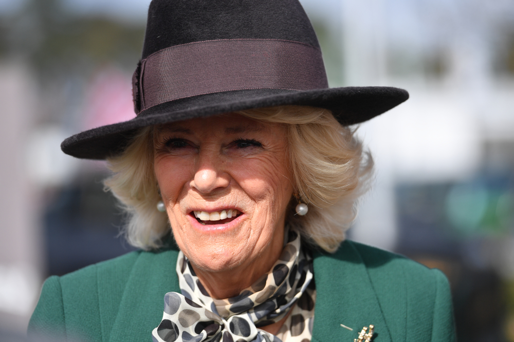 Patrick Stewart and Duchess of Cornwall to speak at event on gender inequality