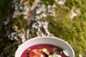 Beetroot soup recipe with celery and apple
