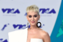 Katy Perry praises ‘gentleman’ Harry Styles after chance meeting on flight