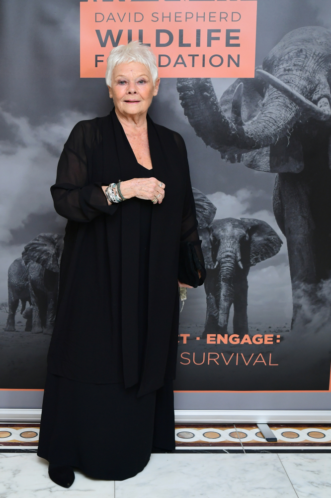 Dame Judi Dench: I’m not allowed any time off from TikTok rehearsals