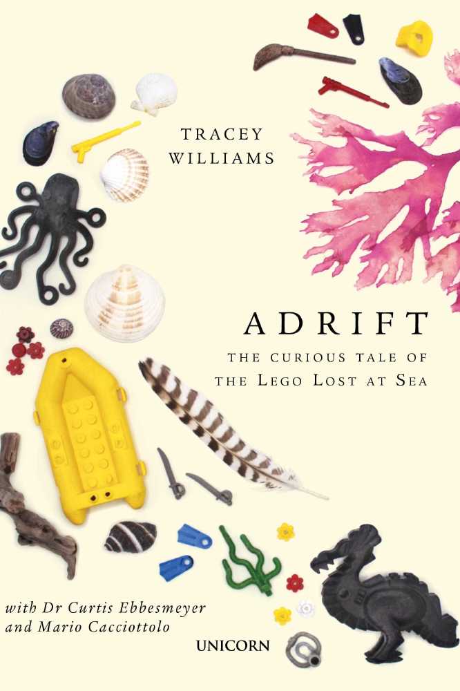 Adrift: The Curious Tale of the Lego Lost at Sea