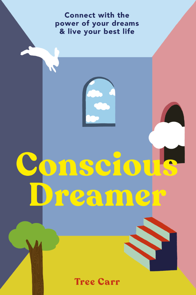 Conscious Dreamer