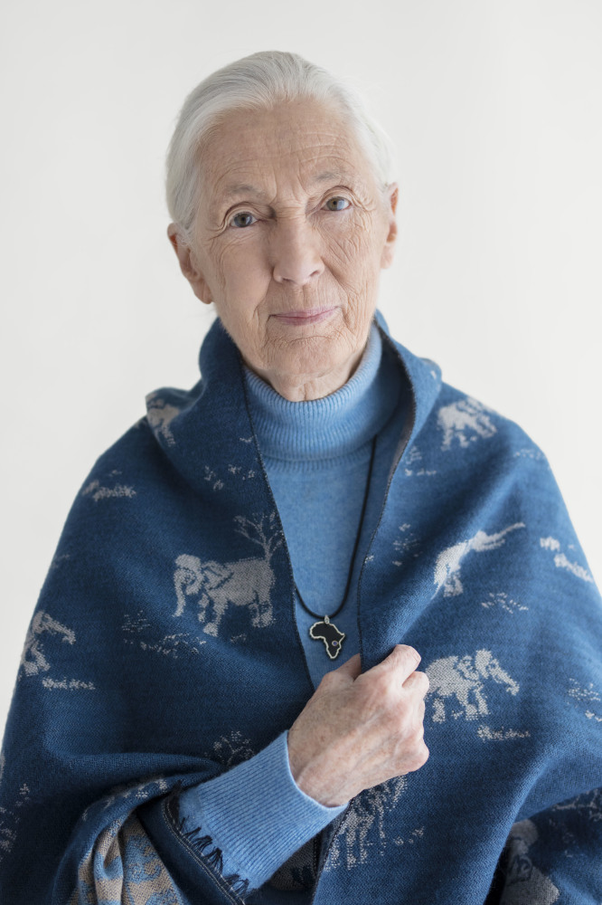 Jane Goodall (Photograph: Kieran E Scott)