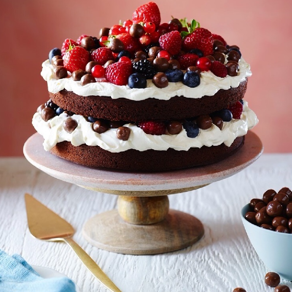 Chocolate Nibbles Summer Fruit Gateau