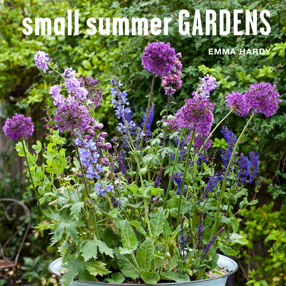 Small Summer Gardens