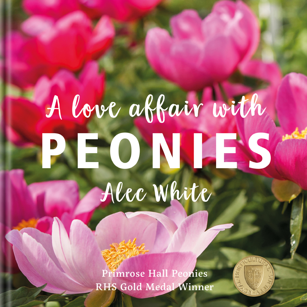 A Love Of Peonies by Alec White