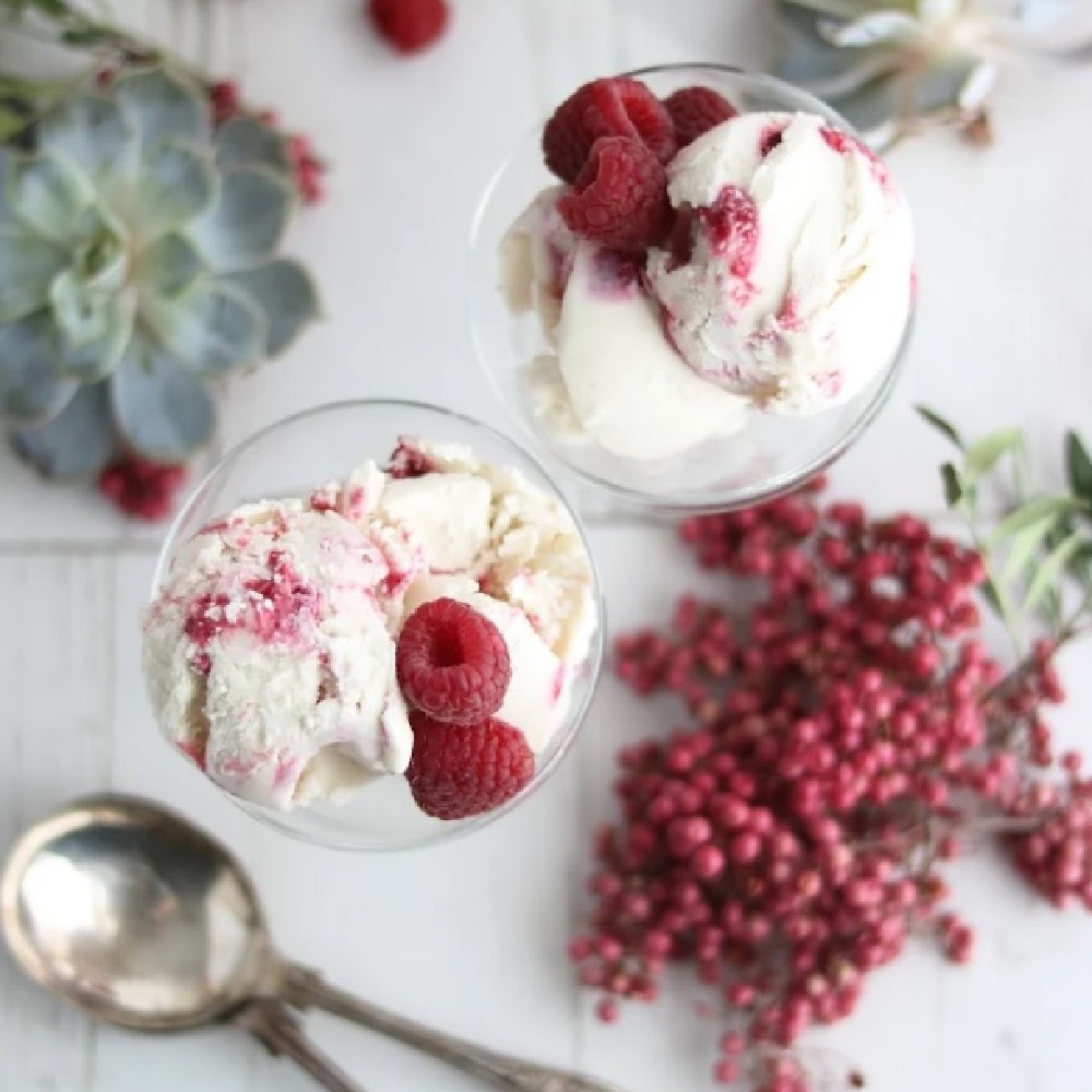 Booja Booja Raspberry Ripple Ice Cream