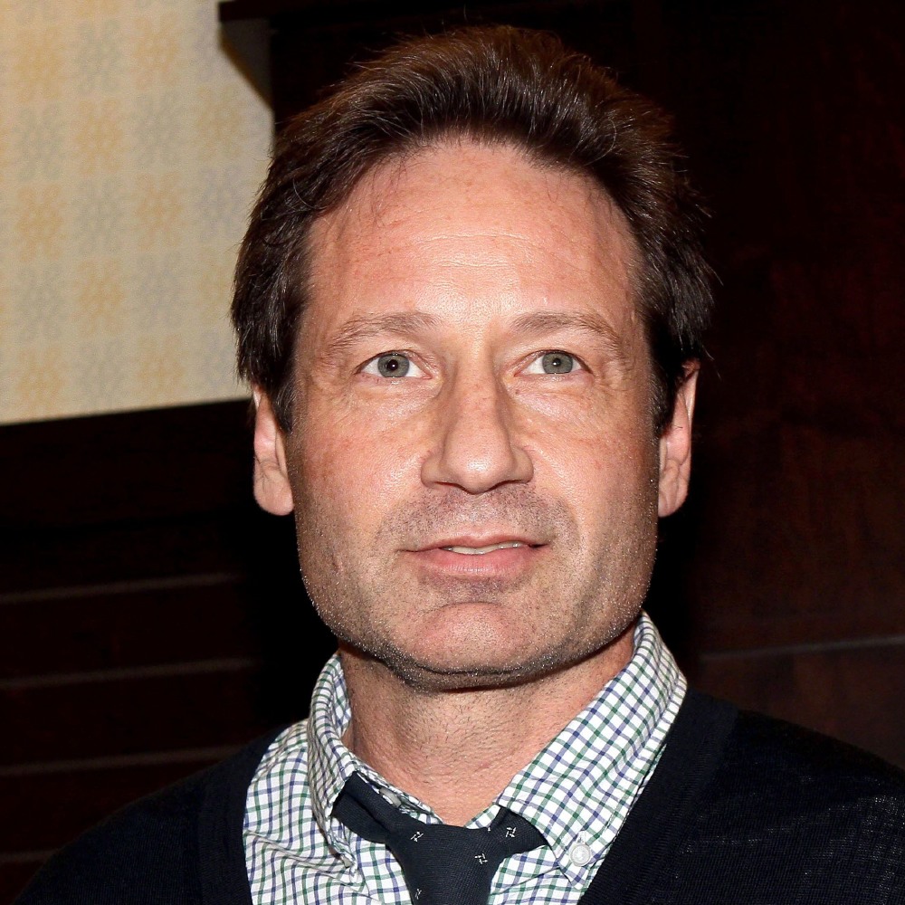 David Duchovny / Credit: FAMOUS