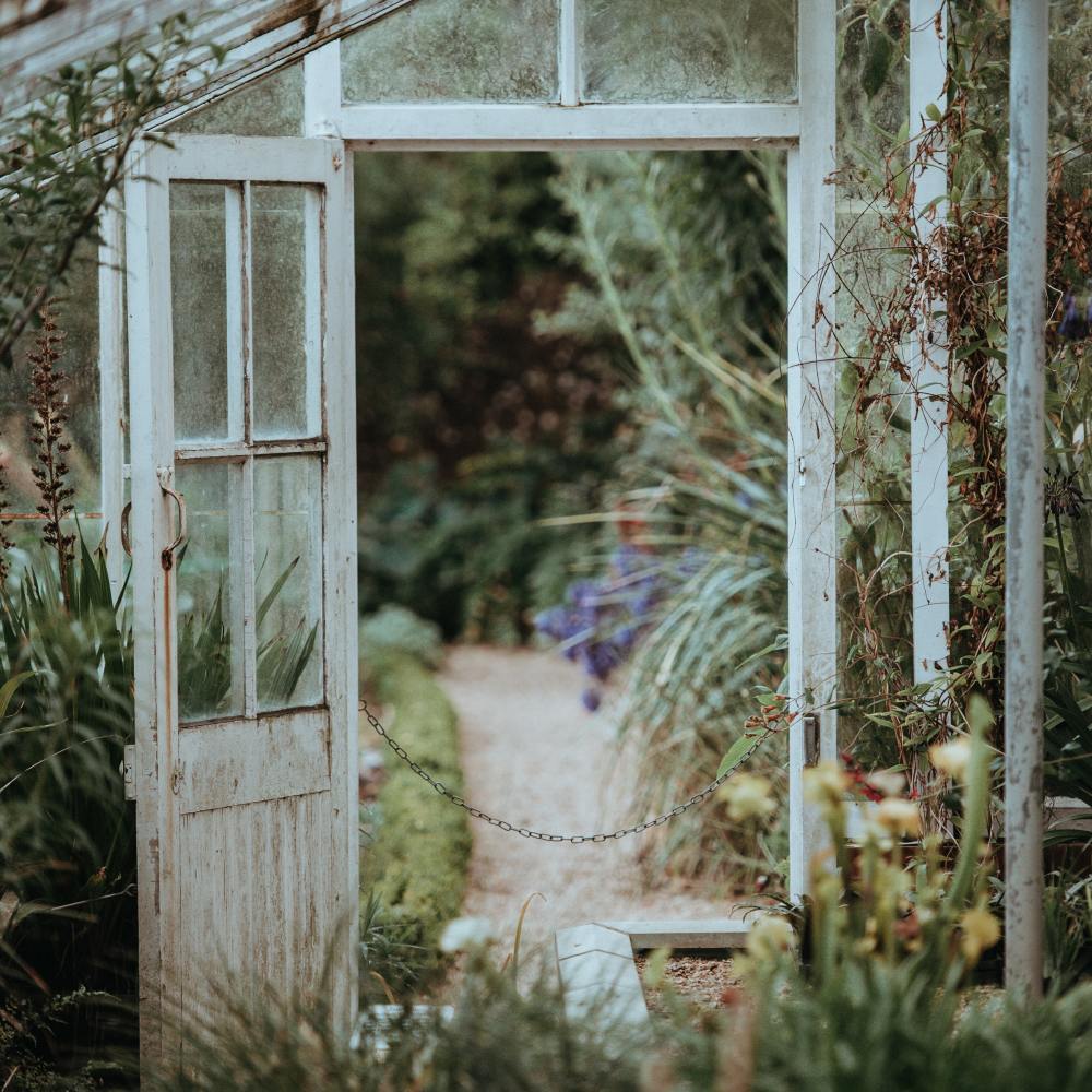 Have you neglected your garden this winter? / Photo credit: Unsplash