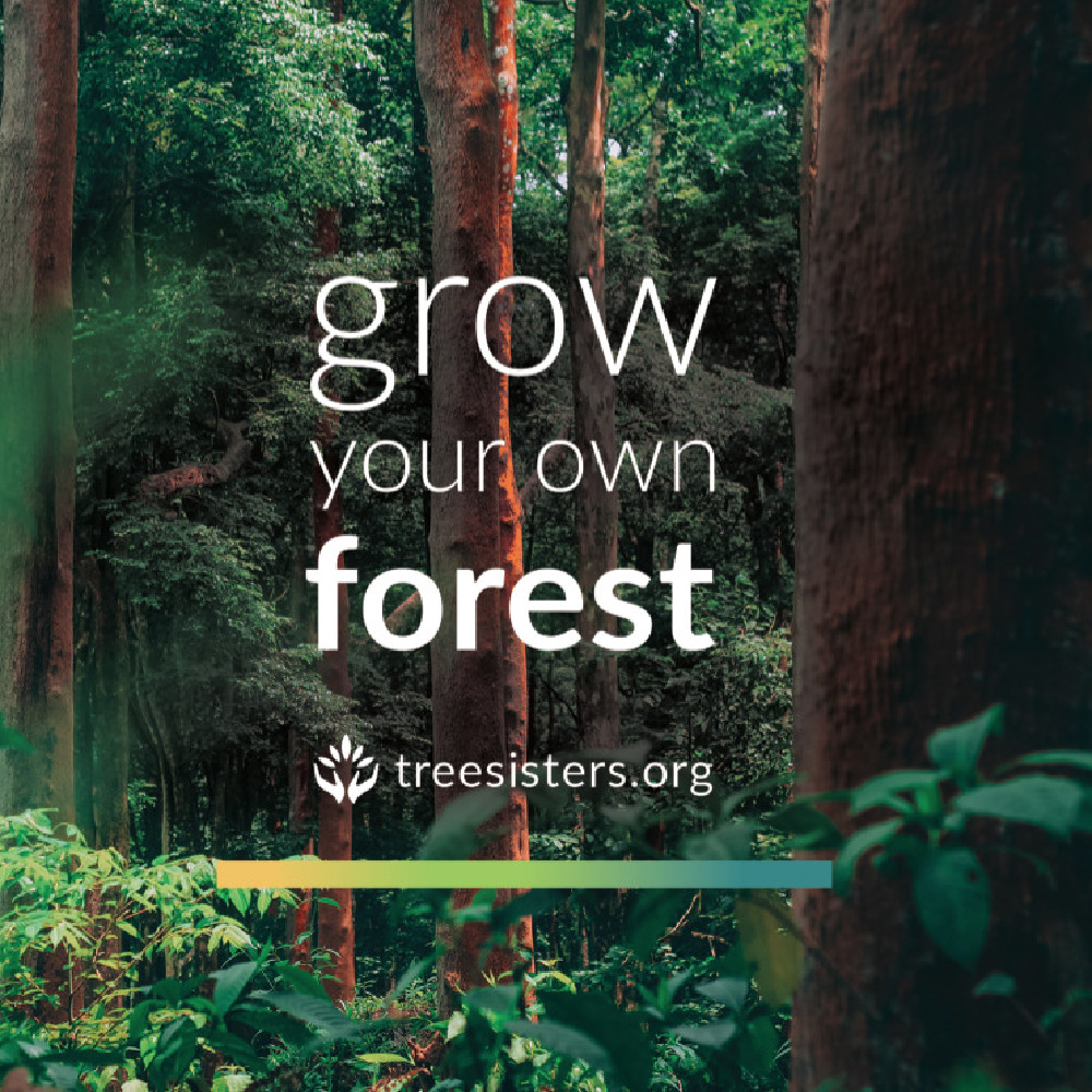 Grow your own forest