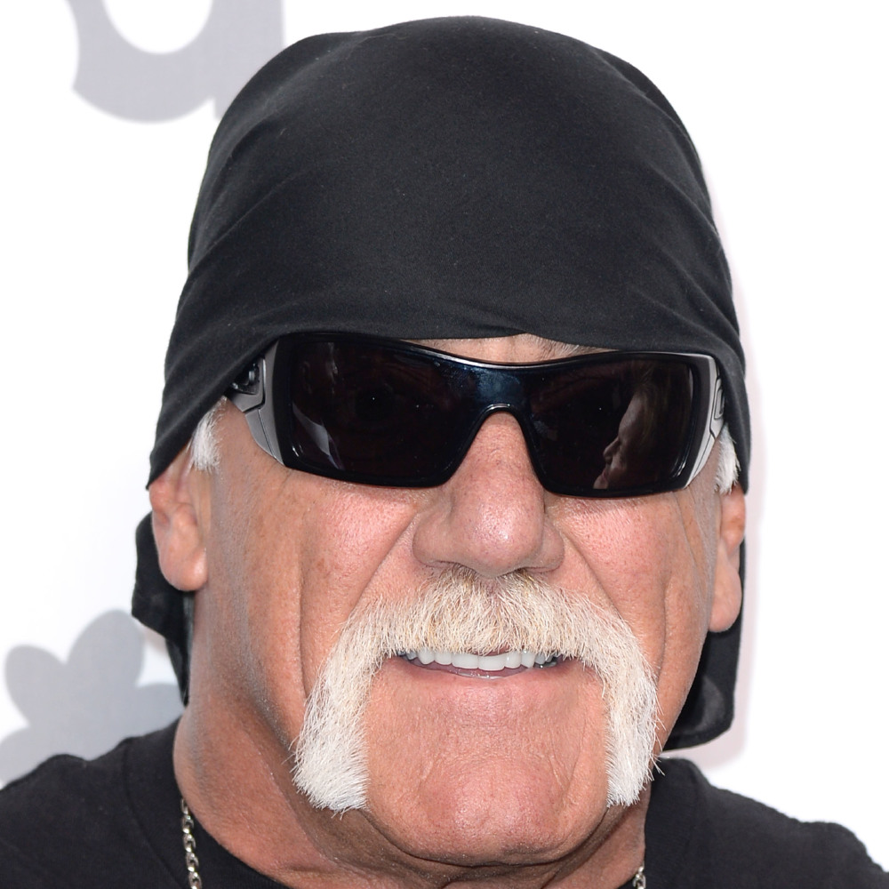Hulk Hogan accused of racism