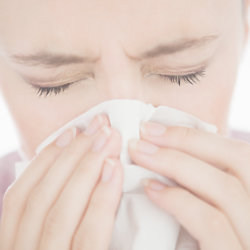 Don't let allergies ruin your Christmas