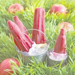 Forest Fruits and Apple Lollies
