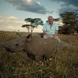 Africa and David Attenborough