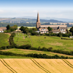 A City Dweller’s Guide to The Countryside