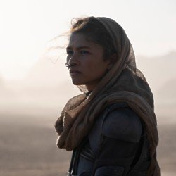 Zendaya gives the performance of her career as Chani in Dune / Picture Credit: Warner Bros. Pictures