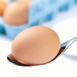 Eating eggs now is more nutritious than before