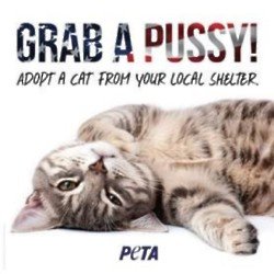 Grab a Pussy!
