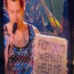 Harry Styles helped a fan come out at Wembley