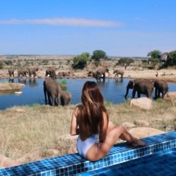 The Four Seasons Serengeti Lodge is perfectly nestled into The Safari itself