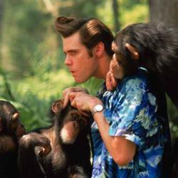 Jim Carrey in Ace Venture: When Nature Calls / Photo Credit: Warner Bros. Pictures