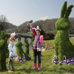 Find the nearest Egg Hunt by visiting the Cadbury website