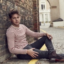 Niall's seen huge US success since going solo