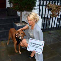 Pamela Anderson and Zorro with petition