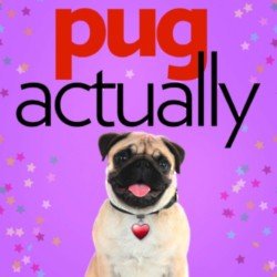 Pug Actually is available now!