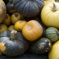 Pumpkins are usually carved at this time of year, break tradition and make some soup