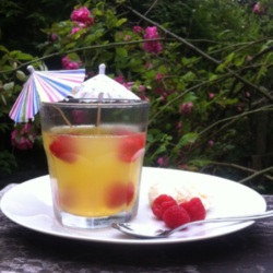Pineapple, Passion Fruit and Raspberry Jelly
