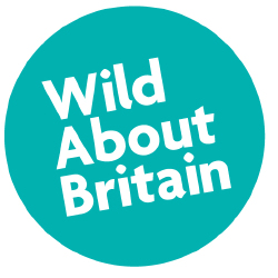 Wild About Britain 