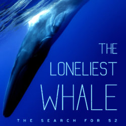The Loneliest Whale is coming to home release / Picture Credit: ILY Films