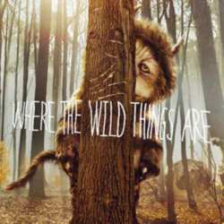 Where The Wild Things Are DVD