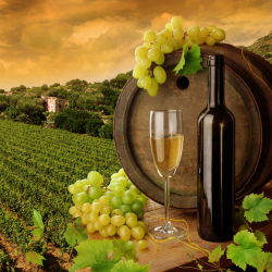 Have you visited any of these top 10 wine destinations? 
