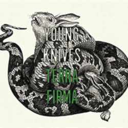 Young Knives